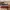 Vans authentic  photo 1