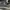 Timberland Casual Casual shoe Pria gray photo 5