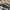 Timberland Casual Casual shoe Pria gray photo 7
