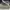 Timberland Casual Casual shoe Pria gray photo 8