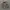 GAP PARKA CAMO JACKET photo 2