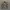 GAP PARKA CAMO JACKET photo 1