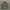 GAP PARKA CAMO JACKET