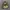 GAP PARKA CAMO JACKET photo 3