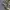 GAP PARKA CAMO JACKET photo 8