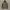 TNF JACKET NYLON IJO ARMY photo 1