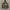 TNF JACKET NYLON IJO ARMY photo 2