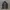 ADIDAS TRACK JACKE BLACK WHITE photo 1