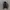 ADIDAS TRACK JACKE BLACK WHITE photo 3