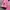 Cerezo Osaka FC JLeague Morishima Player Football Jersey photo 3