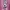 Cerezo Osaka FC JLeague Morishima Player Football Jersey photo 5