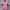 Cerezo Osaka FC JLeague Morishima Player Football Jersey photo 1