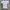 Adidas 3 Stripes Running Jersey photo 1