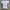 Adidas 3 Stripes Running Jersey