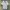 Aquascutum London Stripes Pocket Blue Shirts photo 1