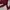 Longsleeve Maroon