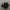 nike p-6000 photo 1