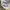 y2k Daisy Lovers Paradise Girl Tank Top photo 8