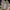 VANS Vintage Casual shoe Pria multicolor photo 3