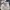 Vintage Levis 501 XX C big E selvedge raw denim  photo 3