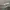 Celana Pendek Cargo Camouflage Abercrombie Fitch photo 4