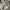 Nike 90s Zip-hoodie side swoosh gray photo 1