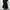 PAPERMOON TRENCH COAT