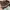 Sepatu Slip on Lokal Brown art old money photo 1