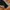 Trackpants Adidas Firebird F78089 photo 3