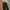 Trackpants Adidas PrimeGreen GF0215 photo 2