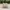 VANS Streetwear Skater Sneakers Wanita white photo 6