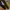 Trackpants Adidas Chelsea EU photo 3