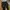 Trackpants Adidas Chelsea EU photo 2