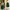 Classic Midi Pleated Skirt Royal Green/Rok Warna Hijau Tua photo 4