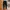 Trackpants Adidas CZ8646 photo 1