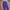 Jogerpants Kappa Tapped Purple photo 2