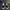 VANS Streetwear Y2K Sneakers Wanita white black photo 4