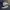 VANS Streetwear Y2K Sneakers Wanita White Black