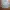 Fieldcore Streetwear Casual Windbreaker Pria tan photo 1