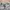 Fieldcore Streetwear Casual Windbreaker Pria tan photo 3
