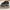 Salomon Streetwear Sportswear Sneakers Pria black gray photo 1