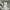 Vintage NFL Oakland Riders #24 Woodson Jersey (Y2K Mesh) photo 8