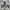 Vintage NFL Oakland Riders #24 Woodson Jersey (Y2K Mesh) photo 5