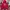 Hoodie Edwin Japanes Art photo 1