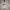 Hoodie merk (G by guess)  photo 1