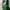 Polo Ralph Lauren Ori Polo Shirt Unisex in Green Heather photo 3