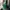 Polo Ralph Lauren Ori Polo Shirt Unisex in Green Heather photo 4