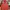 Hoodie Mario Bross photo 1