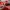 Hoodie Mario Bross photo 4