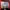 Nike Air max plus tn photo 6